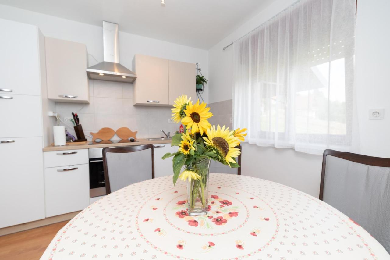 Apartman Skender 3* Ravna Gora Apartment Bagian luar foto