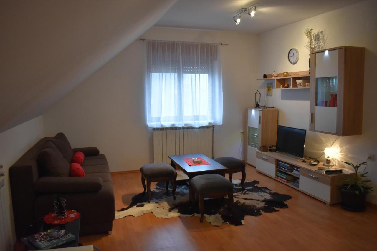 Apartman Skender 3* Ravna Gora Apartment Bagian luar foto