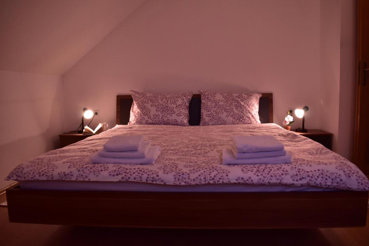 Apartman Skender 3* Ravna Gora Apartment Bagian luar foto
